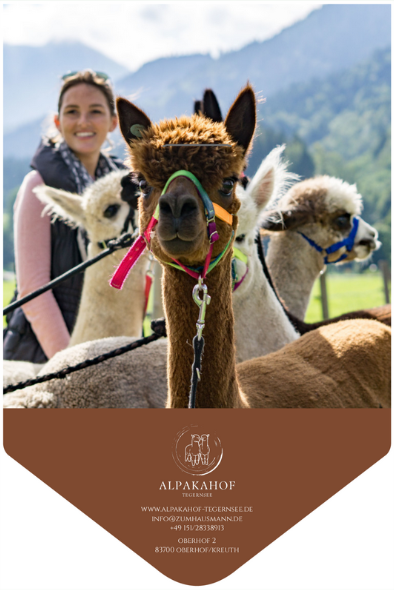 Gutschein - Alpaka Wanderung